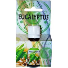 AROMA OLEJ Eucalyptus